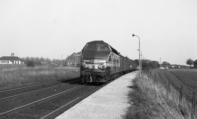 Cambron-Casteau - DIEU F0308 (1).jpg